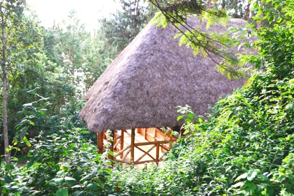 Chabahinga Lake Bunyonyi Eco Resort מראה חיצוני תמונה