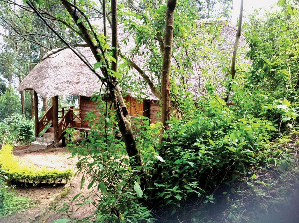 Chabahinga Lake Bunyonyi Eco Resort מראה חיצוני תמונה